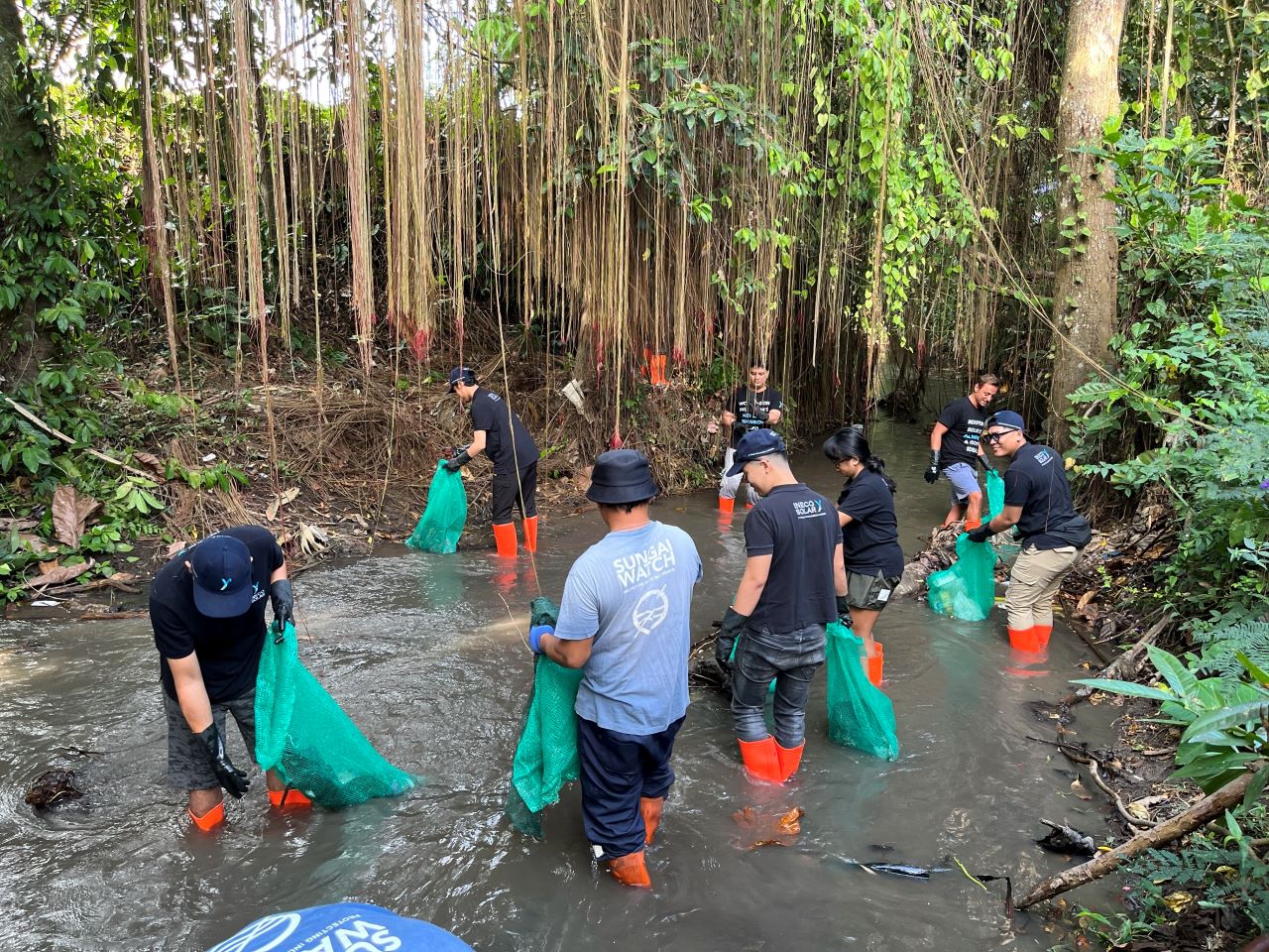 img_2432690_67de0280_df3c_4e9c_ad40_e0f4598ff02d